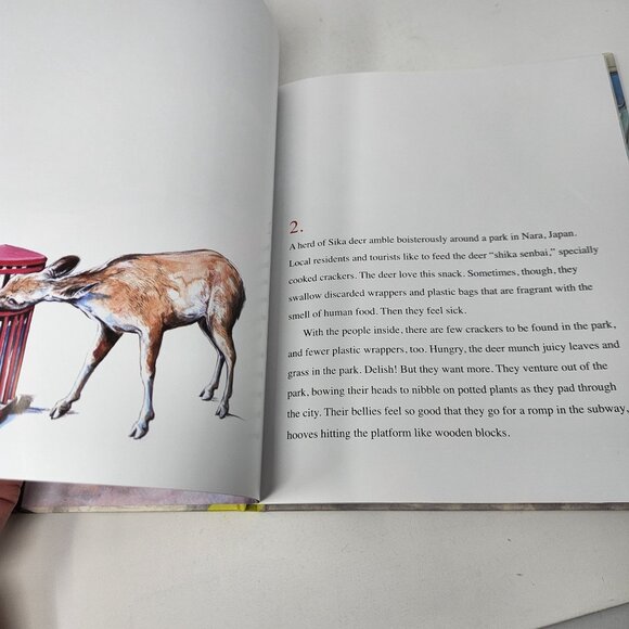 Sea Lions In The Parking Lot By Lenora Todaro & Annika Siems Hardcover Book - Picture 11 of 12